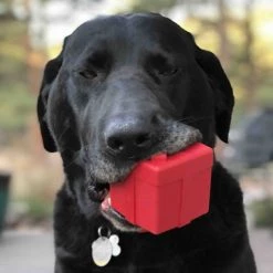 SodaPup Gift Box Rubber Treat Dispenser Dog Toy -Deals Marvel Store✌️ 346997 PT4. SY630 V1638306689