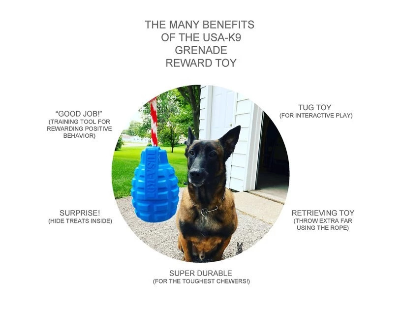 SodaPup Grenade Reward Rubber Tug & Retrieving Dog Toy 4 SodaPup Grenade Reward Rubber Tug & Retrieving Dog Toy - Image 2