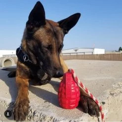 SodaPup Grenade Reward Rubber Tug & Retrieving Dog Toy 15 SodaPup Grenade Reward Rubber Tug & Retrieving Dog Toy -Deals Marvel Store✌️ 347003 PT6. SY630 V1638342096