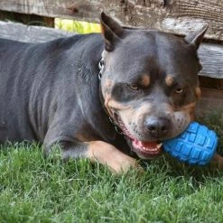 SodaPup Grenade Rubber Treat Dispenser Dog Toy -Deals Marvel Store✌️ 347009 PT6. SY630 V1638311815