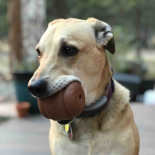 SodaPup Hamburger Rubber Treat Dispenser Dog Toy 4 SodaPup Hamburger Rubber Treat Dispenser Dog Toy - Image 2