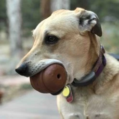 SodaPup Hamburger Rubber Treat Dispenser Dog Toy 16 SodaPup Hamburger Rubber Treat Dispenser Dog Toy -Deals Marvel Store✌️ 347012 PT5. SY630 V1638315699