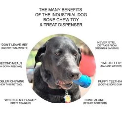 SodaPup ID Bone Rubber Treat Dispenser Dog Toy 12 SodaPup ID Bone Rubber Treat Dispenser Dog Toy -Deals Marvel Store✌️ 347022 PT2. SY630 V1638402747