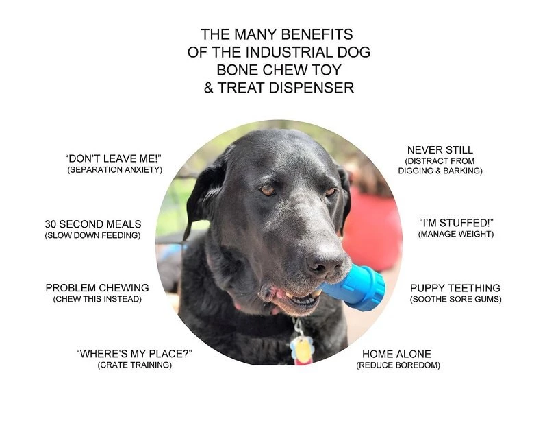 SodaPup ID Bone Rubber Treat Dispenser Dog Toy 5 SodaPup ID Bone Rubber Treat Dispenser Dog Toy - Image 3