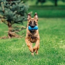 SodaPup ID Bone Rubber Treat Dispenser Dog Toy 17 SodaPup ID Bone Rubber Treat Dispenser Dog Toy -Deals Marvel Store✌️ 347022 PT7. SY630 V1638404833