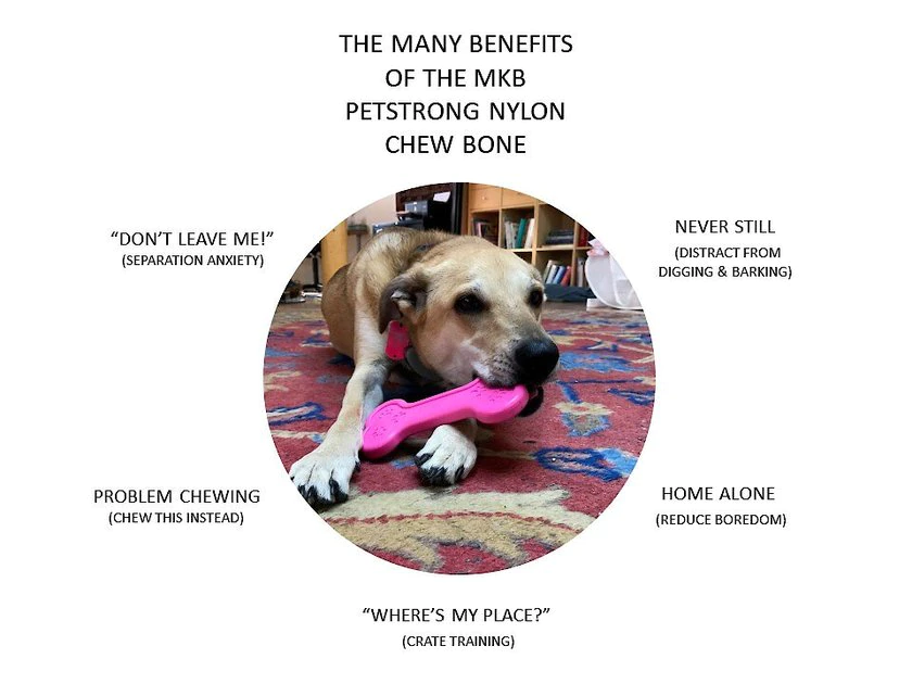 SodaPup Nylon Bone Chew Dog Toy 4 SodaPup Nylon Bone Chew Dog Toy - Image 2