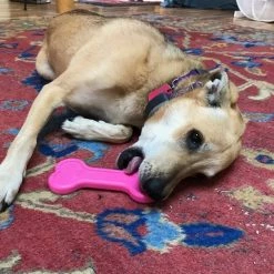 SodaPup Nylon Bone Chew Dog Toy 13 SodaPup Nylon Bone Chew Dog Toy -Deals Marvel Store✌️ 347030 PT4. SY630 V1638338187