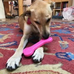 SodaPup Nylon Bone Chew Dog Toy 15 SodaPup Nylon Bone Chew Dog Toy -Deals Marvel Store✌️ 347030 PT6. SY630 V1638341499