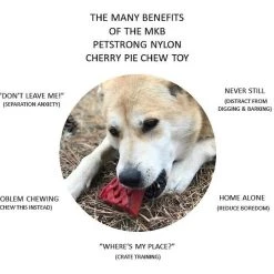 SodaPup Nylon Cherry Pie Chew & Enrichment Dog Toy -Deals Marvel Store✌️ 347036 PT2. SY630 V1638339397