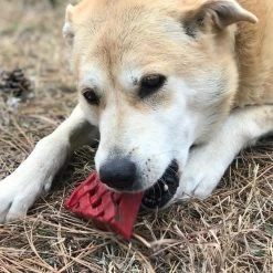 SodaPup Nylon Cherry Pie Chew & Enrichment Dog Toy -Deals Marvel Store✌️ 347036 PT3. SY630 V1638342405