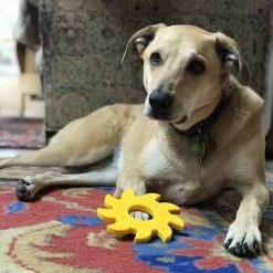 SodaPup Nylon Circular Saw Chew Dog Toy -Deals Marvel Store✌️ 347040 PT3. SY630 V1638340927