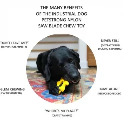 SodaPup Nylon Circular Saw Chew Dog Toy -Deals Marvel Store✌️ 347040 PT4. SY630 V1638337298