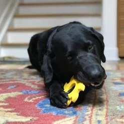 SodaPup Nylon Circular Saw Chew Dog Toy -Deals Marvel Store✌️ 347040 PT6. SY630 V1638339723