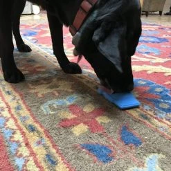 SodaPup Nylon Coffee Cup Chew Dog Toy -Deals Marvel Store✌️ 347042 PT7. SY630 V1638399398