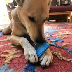 SodaPup Nylon Coffee Cup Chew Dog Toy -Deals Marvel Store✌️ 347042 PT8. SY630 V1638404579