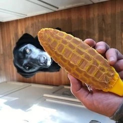 SodaPup Nylon Corn on the Cob Chew & Enrichment Dog Toy 13 SodaPup Nylon Corn on the Cob Chew & Enrichment Dog Toy -Deals Marvel Store✌️ 347044 PT2. SY630 V1638341485