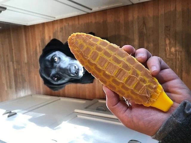 SodaPup Nylon Corn on the Cob Chew & Enrichment Dog Toy 5 SodaPup Nylon Corn on the Cob Chew & Enrichment Dog Toy - Image 3