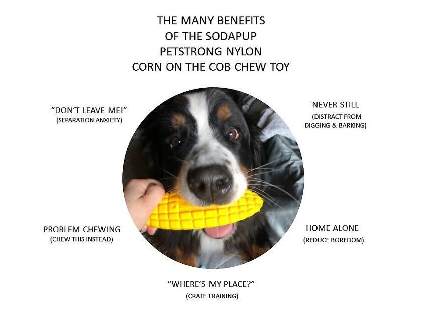 SodaPup Nylon Corn on the Cob Chew & Enrichment Dog Toy 6 SodaPup Nylon Corn on the Cob Chew & Enrichment Dog Toy - Image 4