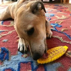SodaPup Nylon Corn on the Cob Chew & Enrichment Dog Toy 15 SodaPup Nylon Corn on the Cob Chew & Enrichment Dog Toy -Deals Marvel Store✌️ 347044 PT4. SY630 V1638338815