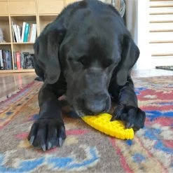 SodaPup Nylon Corn on the Cob Chew & Enrichment Dog Toy 17 SodaPup Nylon Corn on the Cob Chew & Enrichment Dog Toy -Deals Marvel Store✌️ 347044 PT6. SY630 V1638337320