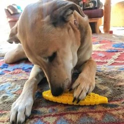 SodaPup Nylon Corn on the Cob Chew & Enrichment Dog Toy 19 SodaPup Nylon Corn on the Cob Chew & Enrichment Dog Toy -Deals Marvel Store✌️ 347044 PT8. SY630 V1638342388