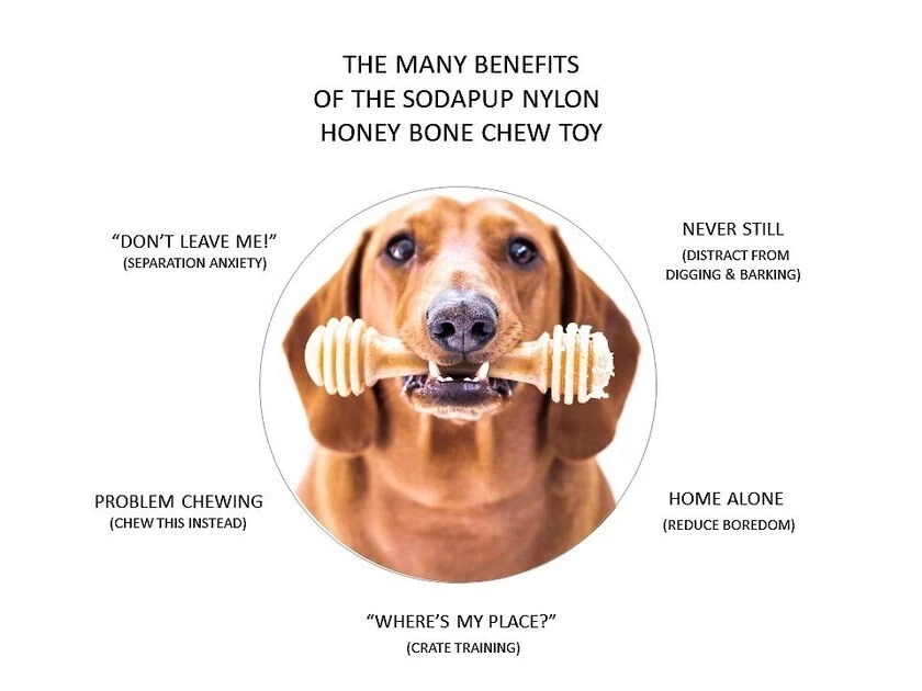 SodaPup Nylon Honey Bone Chew Dog Toy 6 SodaPup Nylon Honey Bone Chew Dog Toy - Image 4