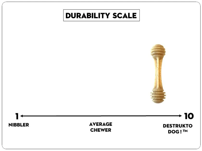 SodaPup Nylon Honey Bone Chew Dog Toy 8 SodaPup Nylon Honey Bone Chew Dog Toy - Image 6