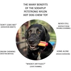 SodaPup Nylon Hot Dog Chew Toy -Deals Marvel Store✌️ 347060 PT4. SY630 V1638340624