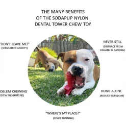 SodaPup Nylon Key to My Heart Chew Dog Toy 12 SodaPup Nylon Key to My Heart Chew Dog Toy -Deals Marvel Store✌️ 347062 PT3. SY630 V1638338503