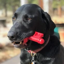 SodaPup Nylon Key to My Heart Chew Dog Toy 15 SodaPup Nylon Key to My Heart Chew Dog Toy -Deals Marvel Store✌️ 347062 PT6. SY630 V1638340021