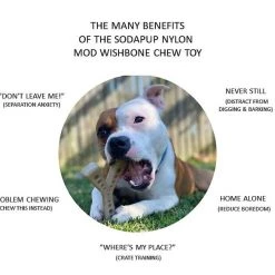 SodaPup Nylon Mod Wishbone Chew & Enrichment Dog Toy -Deals Marvel Store✌️ 347068 PT2. SY630 V1638339745