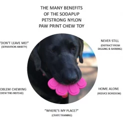 SodaPup Nylon Paw Print Chew Dog Toy -Deals Marvel Store✌️ 347070 PT2. SY630 V1638342385