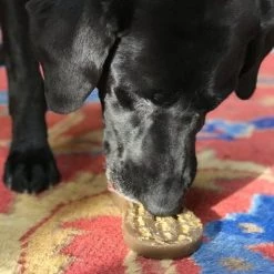 SodaPup Nylon Peanut Chew & Enrichment Dog Toy 13 SodaPup Nylon Peanut Chew & Enrichment Dog Toy -Deals Marvel Store✌️ 347072 PT4. SY630 V1638400913