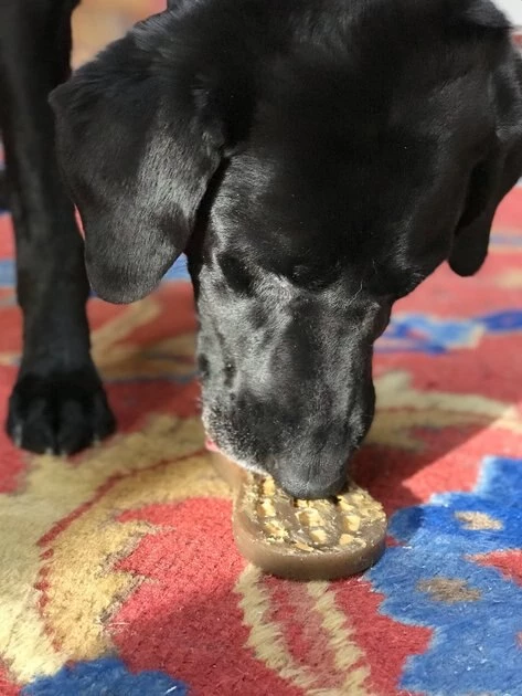 SodaPup Nylon Peanut Chew & Enrichment Dog Toy 6 SodaPup Nylon Peanut Chew & Enrichment Dog Toy - Image 4