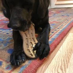 SodaPup Nylon Peanut Chew & Enrichment Dog Toy 16 SodaPup Nylon Peanut Chew & Enrichment Dog Toy -Deals Marvel Store✌️ 347072 PT7. SY630 V1638402707