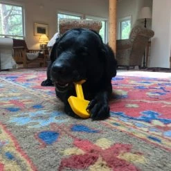 SodaPup Nylon Shovel Chew Dog Toy -Deals Marvel Store✌️ 347078 PT7. SY630 V1638339149