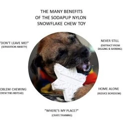 SodaPup Nylon Snowflake Chew & Enrichment Dog Toy -Deals Marvel Store✌️ 347080 PT2. SY630 V1638337888