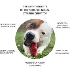 SodaPup Nylon Starfish Chew & Enrichment Dog Toy -Deals Marvel Store✌️ 347086 PT2. SY630 V1638342429