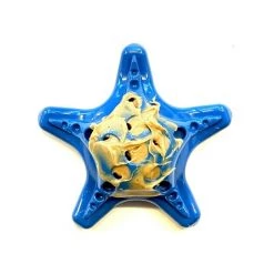 SodaPup Nylon Starfish Chew & Enrichment Dog Toy -Deals Marvel Store✌️ 347086 PT5. SY630 V1638339427