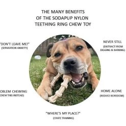 SodaPup Nylon Teething Ring Chew Dog Toy 12 SodaPup Nylon Teething Ring Chew Dog Toy -Deals Marvel Store✌️ 347089 PT3. SY630 V1638339172