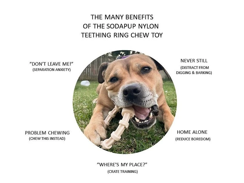 SodaPup Nylon Teething Ring Chew Dog Toy 5 SodaPup Nylon Teething Ring Chew Dog Toy - Image 3