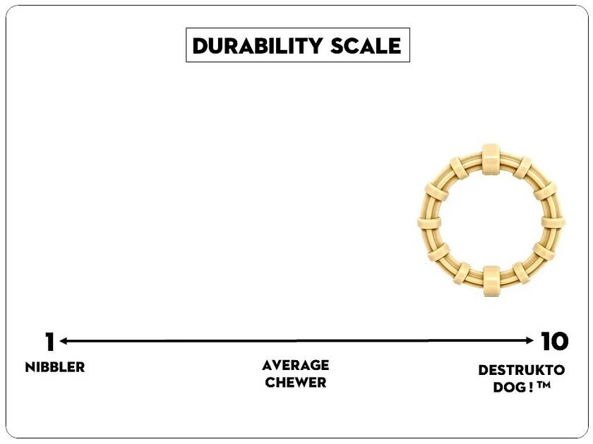 SodaPup Nylon Teething Ring Chew Dog Toy 8 SodaPup Nylon Teething Ring Chew Dog Toy - Image 6