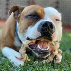 SodaPup Nylon Teething Ring Chew Dog Toy 16 SodaPup Nylon Teething Ring Chew Dog Toy -Deals Marvel Store✌️ 347089 PT7. SY630 V1638338513