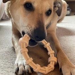 SodaPup Nylon Teething Ring Chew Dog Toy 17 SodaPup Nylon Teething Ring Chew Dog Toy -Deals Marvel Store✌️ 347089 PT8. SY630 V1638340631