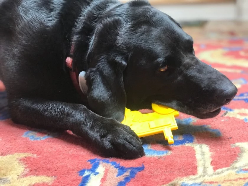 SodaPup Nylon Tractor Chew Dog Toy 8 SodaPup Nylon Tractor Chew Dog Toy - Image 6