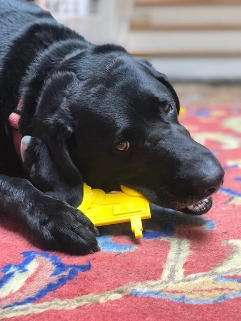 SodaPup Nylon Tractor Chew Dog Toy 10 SodaPup Nylon Tractor Chew Dog Toy - Image 8