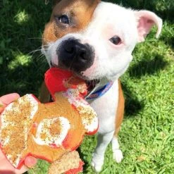 SodaPup Nylon Turkey Chew Dog Toy -Deals Marvel Store✌️ 347093 PT5. SY630 V1638338791