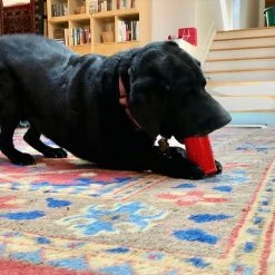 SodaPup Retro Soda Can Rubber Treat Dispenser Dog Toy -Deals Marvel Store✌️ 347104 PT4. SY630 V1638403589