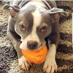 Deals Marvel Store✌️ -Deals Marvel Store✌️ 347106 PT1. SY630 V1638338190