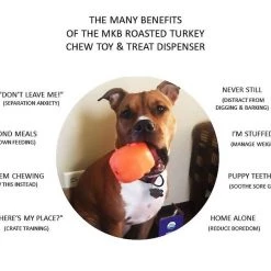 SodaPup Roasted Turkey Rubber Treat Dispenser Dog Toy -Deals Marvel Store✌️ 347106 PT4. SY630 V1638338227